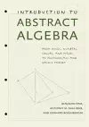 Introduction to Abstract Algebra cover