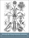 Atlas of Crustacean Larvae cover