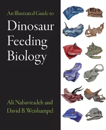 An Illustrated Guide to Dinosaur Feeding Biology cover