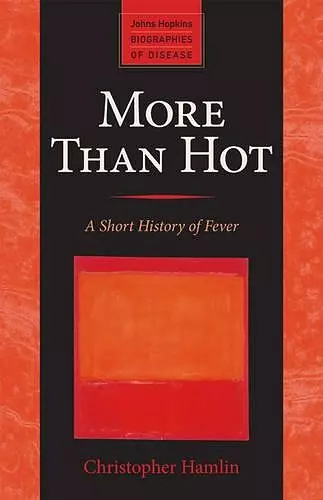 More Than Hot cover