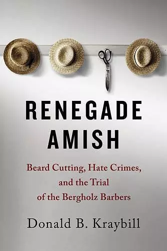 Renegade Amish cover