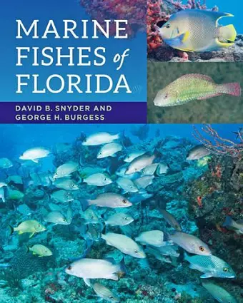 Marine Fishes of Florida cover