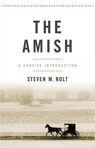 The Amish cover