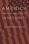 America and the Politics of Insecurity cover