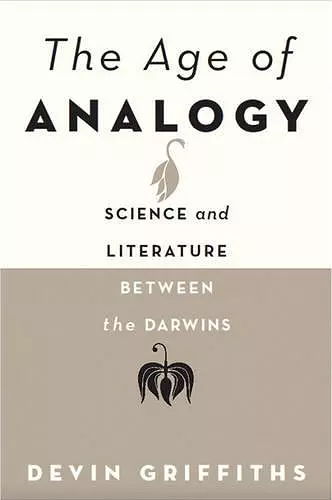 The Age of Analogy cover