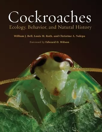 Cockroaches cover