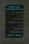 American Hieroglyphics cover