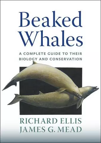 Beaked Whales cover