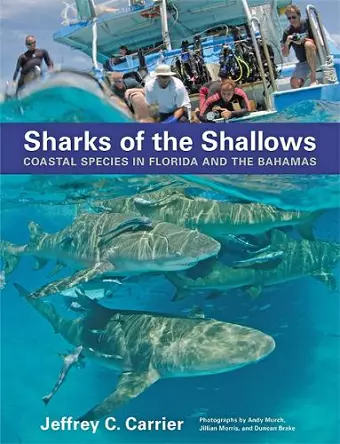Sharks of the Shallows cover