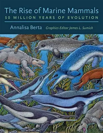 The Rise of Marine Mammals cover