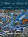 The Rise of Marine Mammals cover