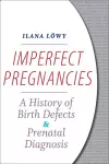 Imperfect Pregnancies cover