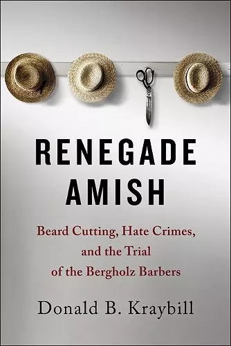 Renegade Amish cover