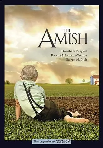 The Amish cover