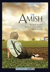 The Amish cover