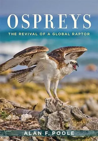 Ospreys cover