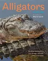 Alligators cover