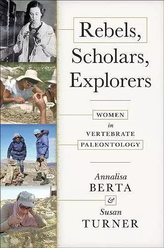 Rebels, Scholars, Explorers cover