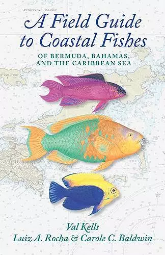 A Field Guide to Coastal Fishes of Bermuda, Bahamas, and the Caribbean Sea cover