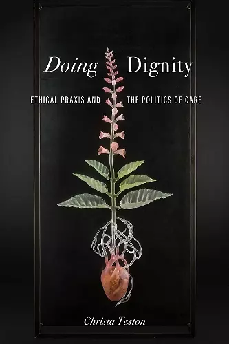 Doing Dignity cover