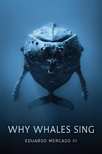 Why Whales Sing cover