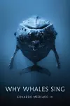 Why Whales Sing cover