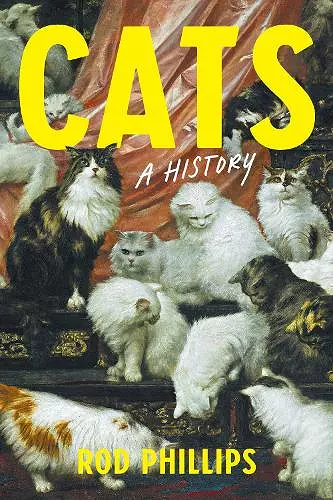 Cats cover