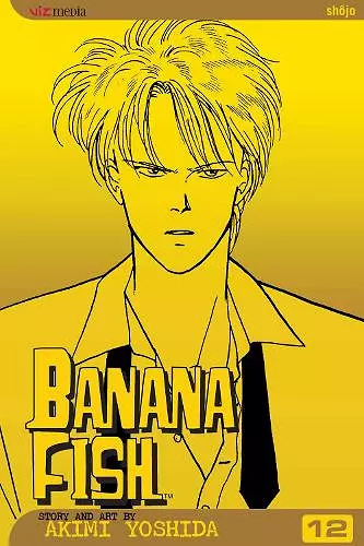 Banana Fish, Vol. 12 cover