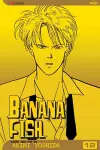 Banana Fish, Vol. 12 cover