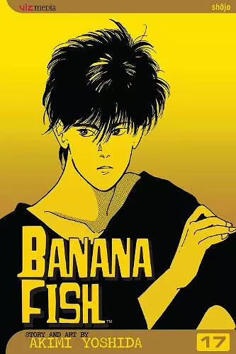 Banana Fish, Vol. 17 cover