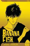 Banana Fish, Vol. 17 cover