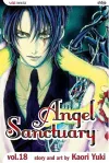 Angel Sanctuary, Vol. 18 cover
