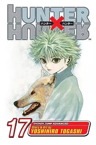 Hunter x Hunter, Vol. 17 cover