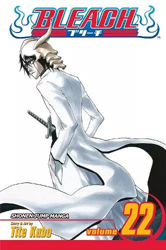 Bleach, Vol. 22 cover