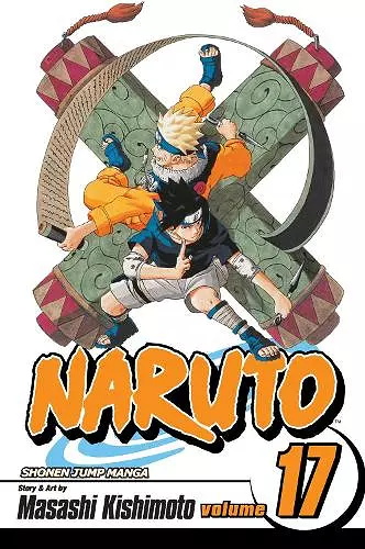 Naruto, Vol. 17 cover