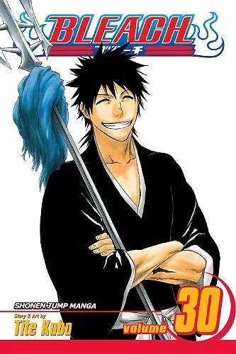 Bleach, Vol. 30 cover