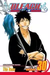 Bleach, Vol. 30 cover