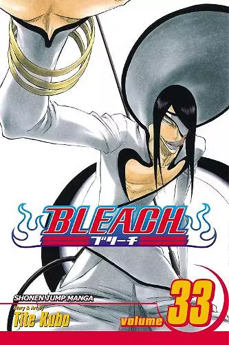 Bleach, Vol. 33 cover