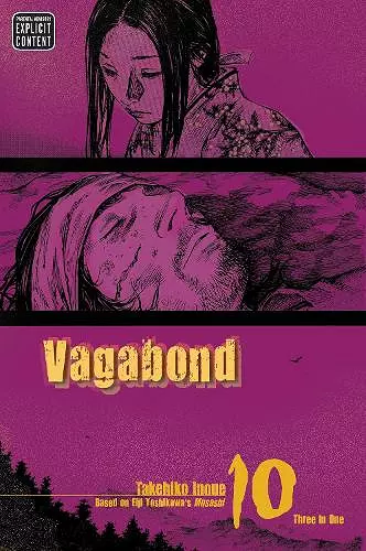 Vagabond (VIZBIG Edition), Vol. 10 cover