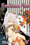 Kamisama Kiss, Vol. 10 cover