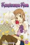 Kamisama Kiss, Vol. 12 cover