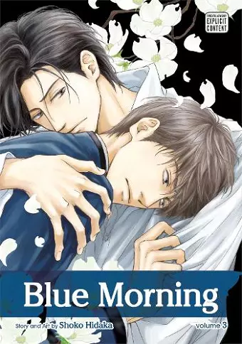 Blue Morning, Vol. 3 cover