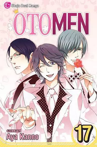 Otomen, Vol. 17 cover