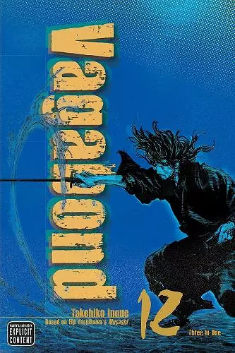 Vagabond (VIZBIG Edition), Vol. 12 cover