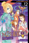 Nisekoi: False Love, Vol. 12 cover