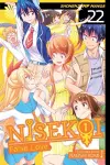Nisekoi: False Love, Vol. 22 cover