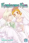 Kamisama Kiss, Vol. 25 cover