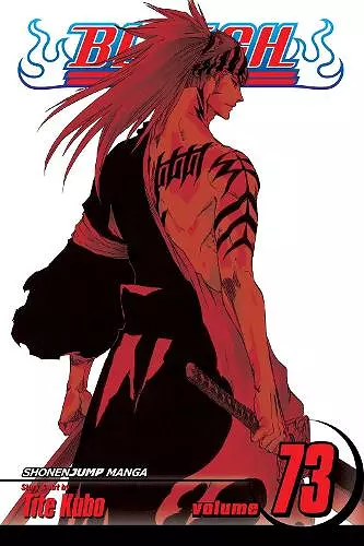 Bleach, Vol. 73 cover