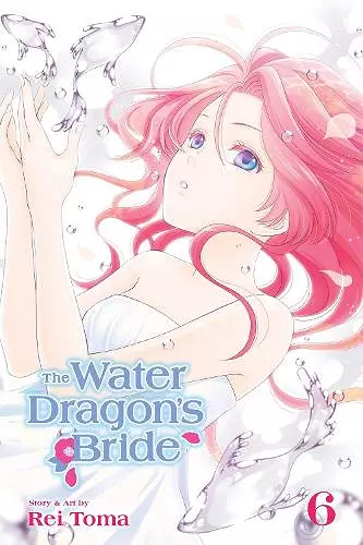 The Water Dragon's Bride, Vol. 6 cover