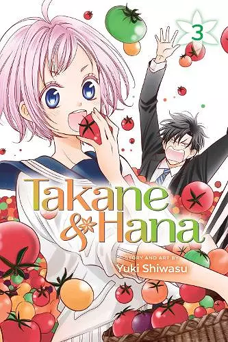 Takane & Hana, Vol. 3 cover